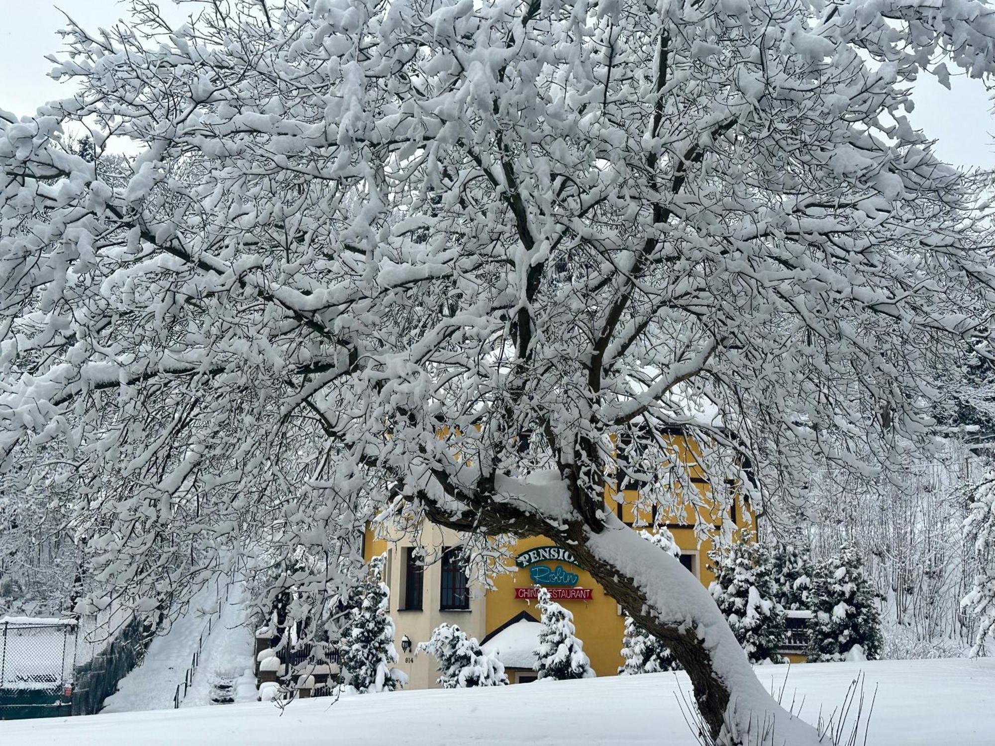 Pension Robin Jáchymov Exterior foto